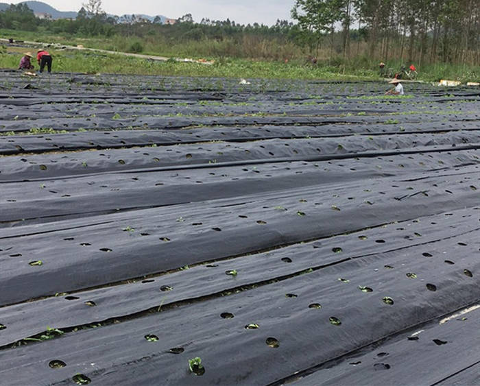 土工膜與混凝土鏈接時(shí)的要求